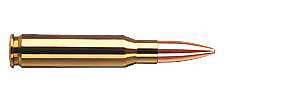 Karabinsko streljivo RWS 223 Rem Target Elite Plus 5,0g