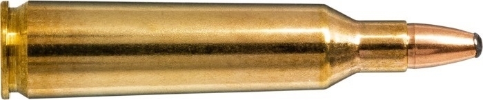 Karabinsko streljivo NORMA .22-250 Rem. 3,6 Oryx