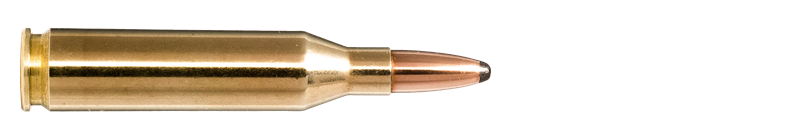 Karabinsko streljivo NORMA .243 Win. 6,5 SP Whitetail