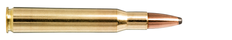 Karabinsko streljivo NORMA .30-06 9,7 SP Whitetail