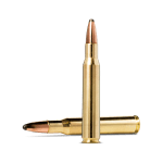 Karabinsko streljivo NORMA .30-06 9,7 SP Whitetail