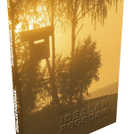 Knjiga "Idealan pogodak", Miroslava Benka